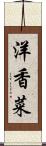 洋香菜 Scroll