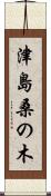 津島桑の木 Scroll