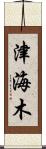 津海木 Scroll