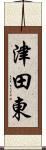 津田東 Scroll