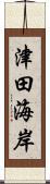 津田海岸 Scroll