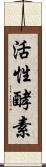 活性酵素 Scroll