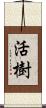 活樹 Scroll