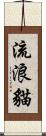 流浪貓 Scroll