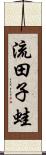 流田子蛙 Scroll
