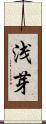 浅芽 Scroll