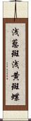 浅葱斑 Scroll