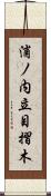 浦ノ内立目摺木 Scroll