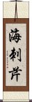 海刺芹 Scroll