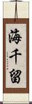 海千留 Scroll