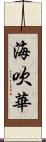 海吹華 Scroll