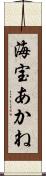 海宝あかね Scroll