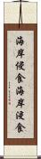 海岸侵食 Scroll