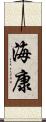 海康 Scroll