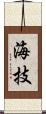 海技 Scroll