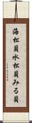 海松貝 Scroll
