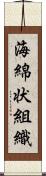 海綿状組織 Scroll