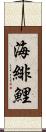 海緋鯉 Scroll