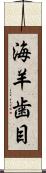 海羊歯目 Scroll