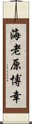 海老原博幸 Scroll