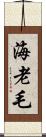 海老毛 Scroll