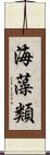 海藻類 Scroll
