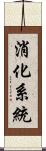 消化系統 Scroll