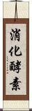 消化酵素 Scroll