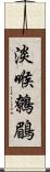 淡喉鷯鶥 Scroll