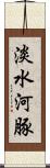 淡水河豚 Scroll