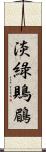 淡綠鵙鶥 Scroll