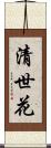 清世花 Scroll