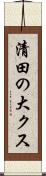 清田の大クス Scroll