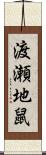 渡瀬地鼠 Scroll