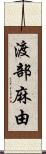 渡部麻由 Scroll