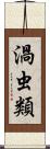 渦虫類 Scroll