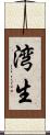 湾生 Scroll