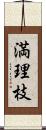 満理枝 Scroll