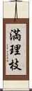 満理枝 Scroll