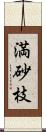 満砂枝 Scroll