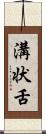 溝状舌 Scroll