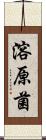 溶原菌 Scroll