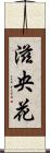 滋央花 Scroll