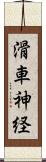 滑車神経 Scroll