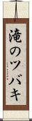滝のツバキ Scroll