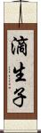 滴生子 Scroll