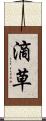 滴草 Scroll