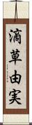 滴草由実 Scroll
