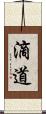 滴道 Scroll