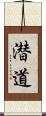 潜道 Scroll